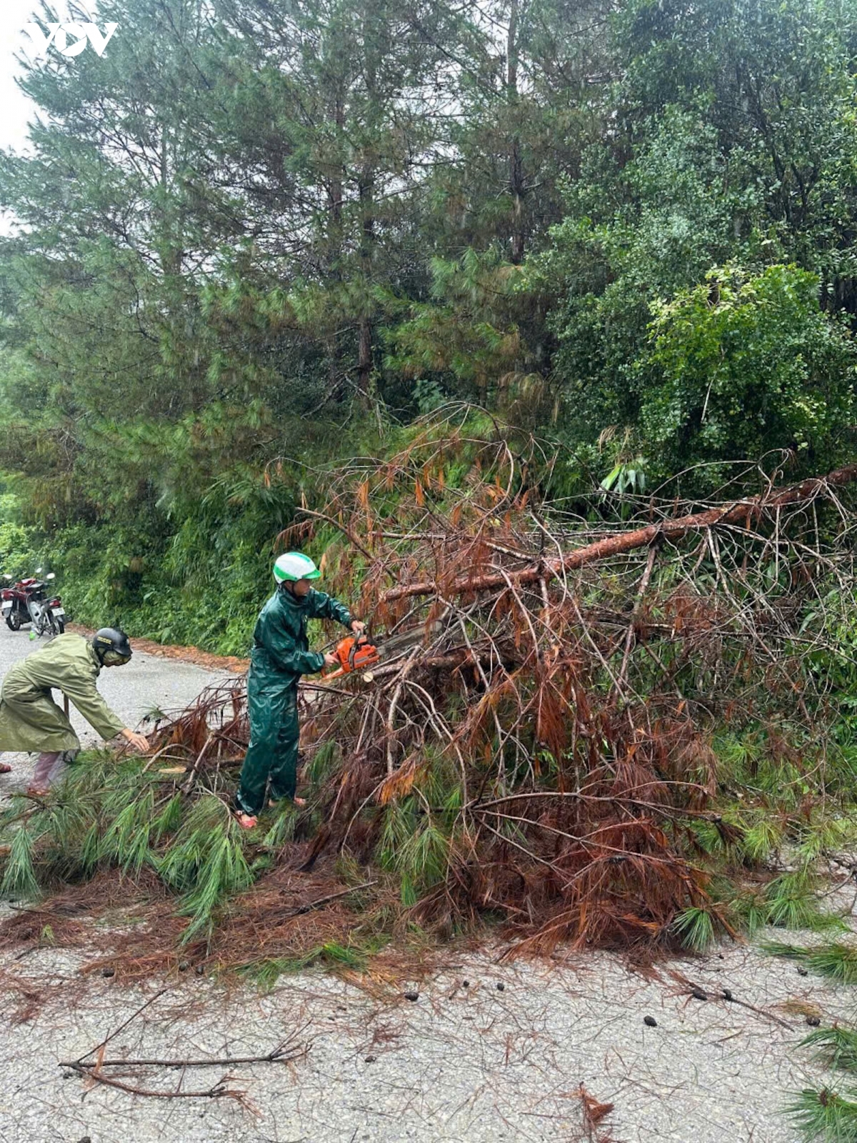 quang ninh khan truong khac phuc sat lo, ngap ung hinh anh 3
