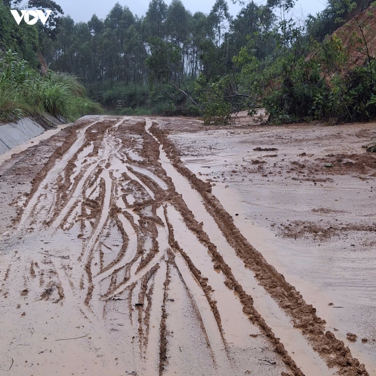 quang ninh khan truong khac phuc sat lo, ngap ung hinh anh 6