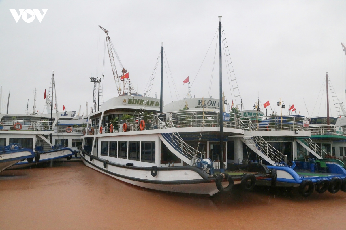 bao so 4 gay mua trang troi, sat lo cuc bo o quang ninh hinh anh 7