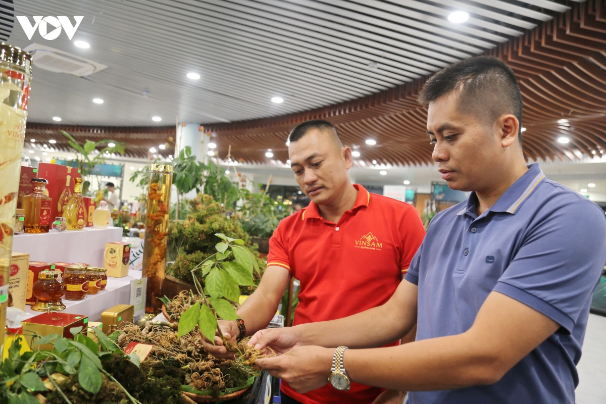 Da nang khai mac le hoi sam ngoc linh va duoc lieu quoc te 2026 hinh anh 5