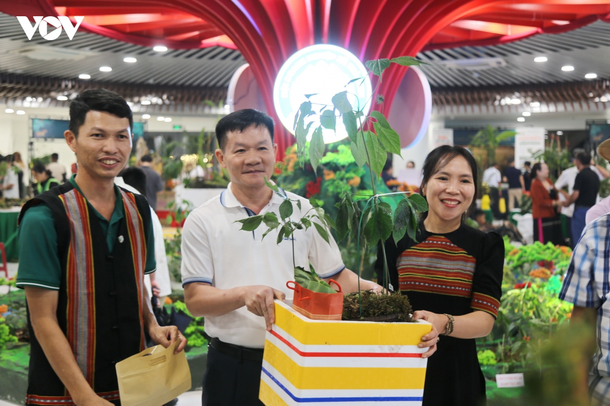 Da nang khai mac le hoi sam ngoc linh va duoc lieu quoc te 2026 hinh anh 4