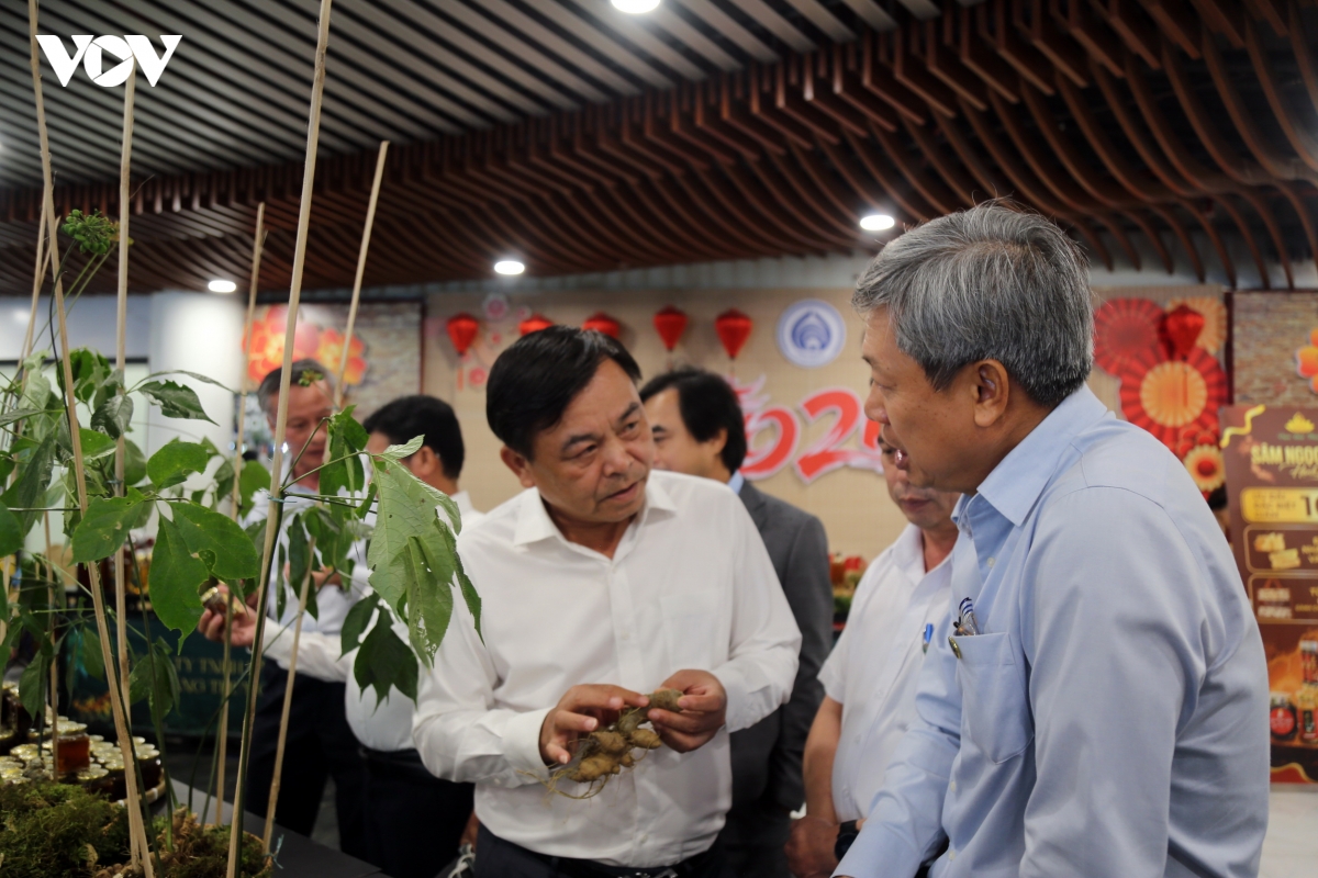 Da nang khai mac le hoi sam ngoc linh va duoc lieu quoc te 2026 hinh anh 1