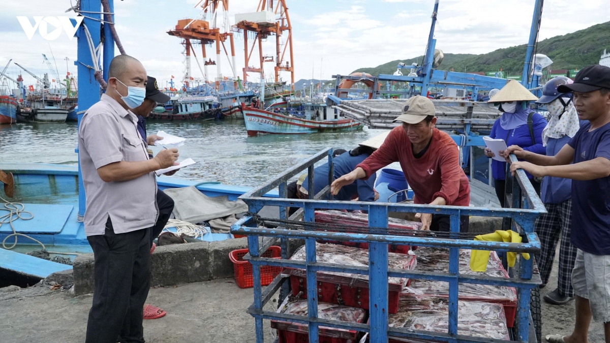 gia lai tang cuong tuyen truyen quy dinh moi, quyet liet chong khai thac iuu hinh anh 3