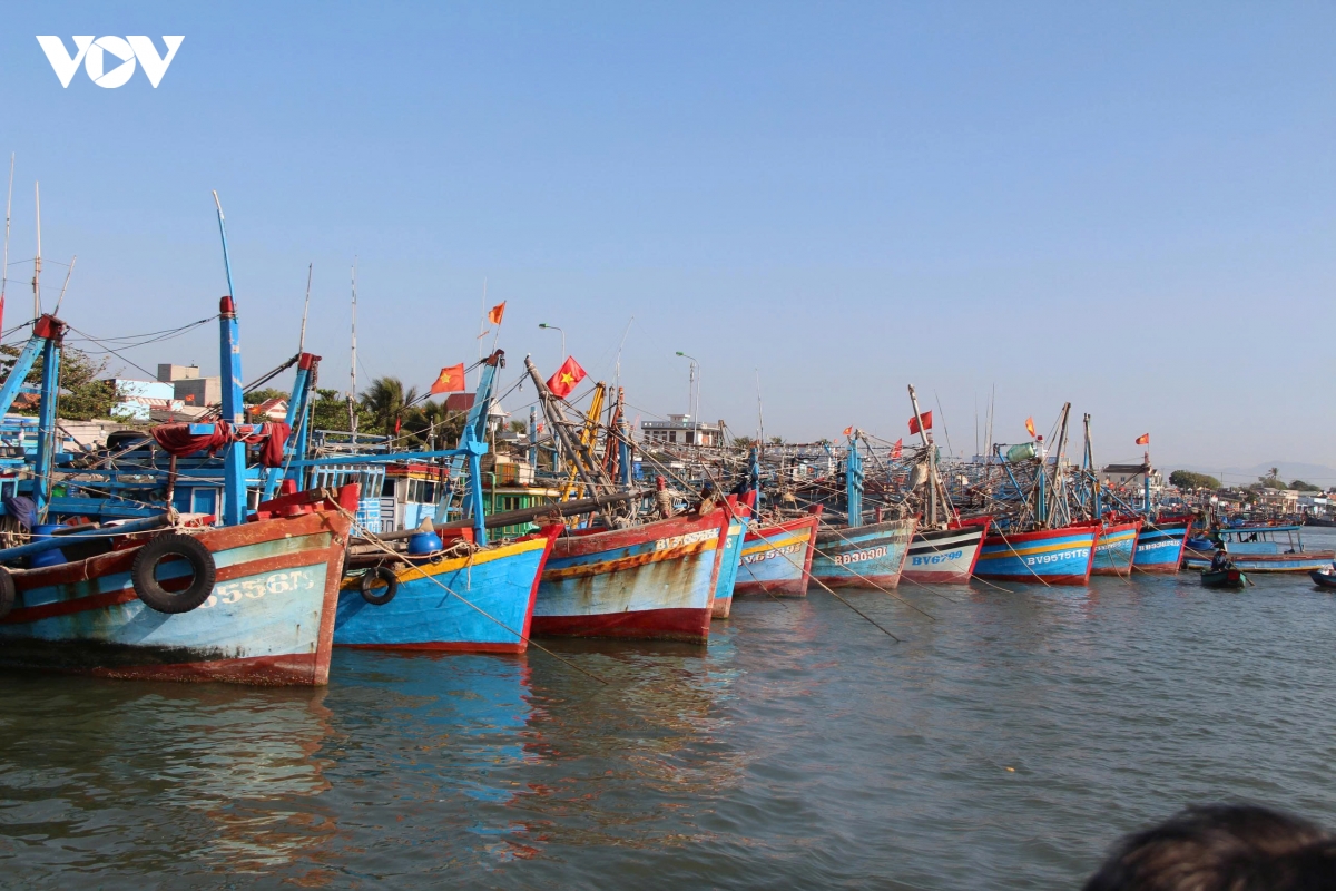 xu phat chu tau ca tp.hcm vi pham quy dinh ve iuu hinh anh 1