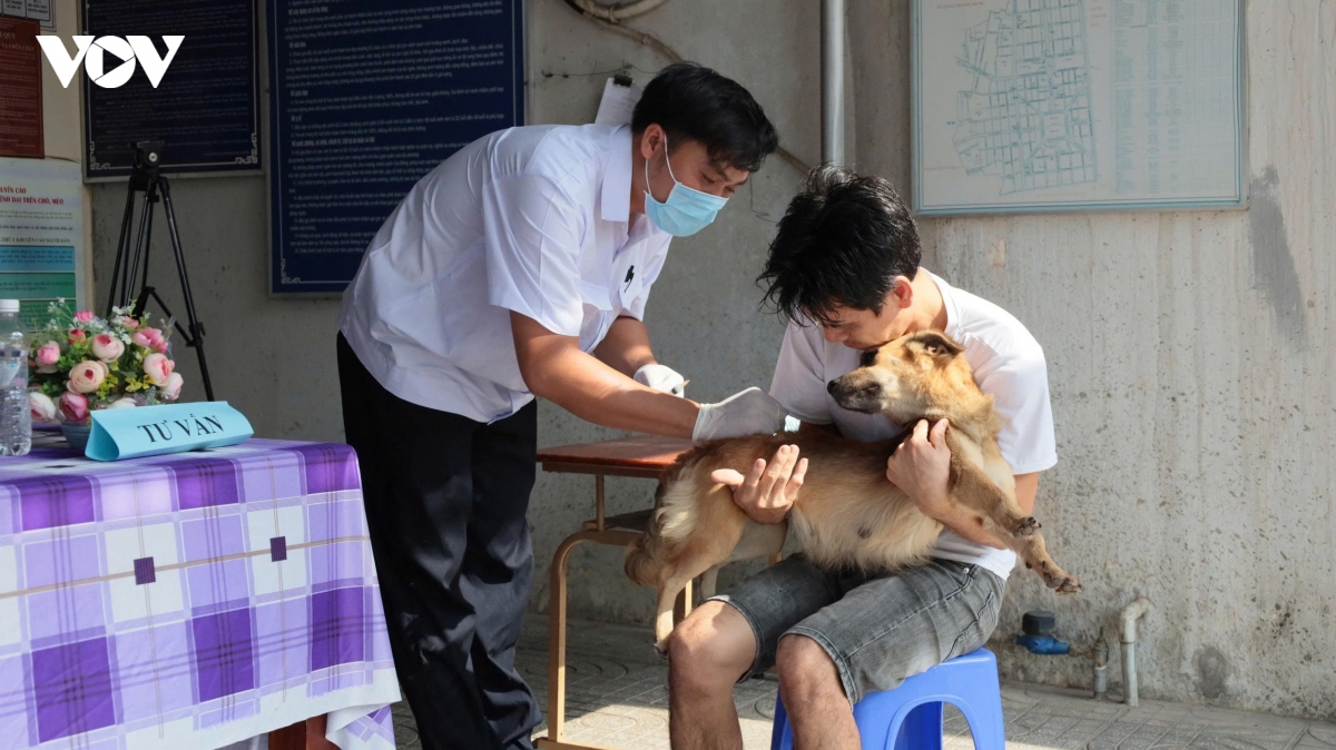 tay ninh ghi nhan 9 nguoi tu vong do benh dai hinh anh 2