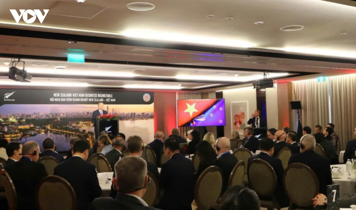 maximizing economic complementarity for practical vietnam-new zealand cooperation picture 1