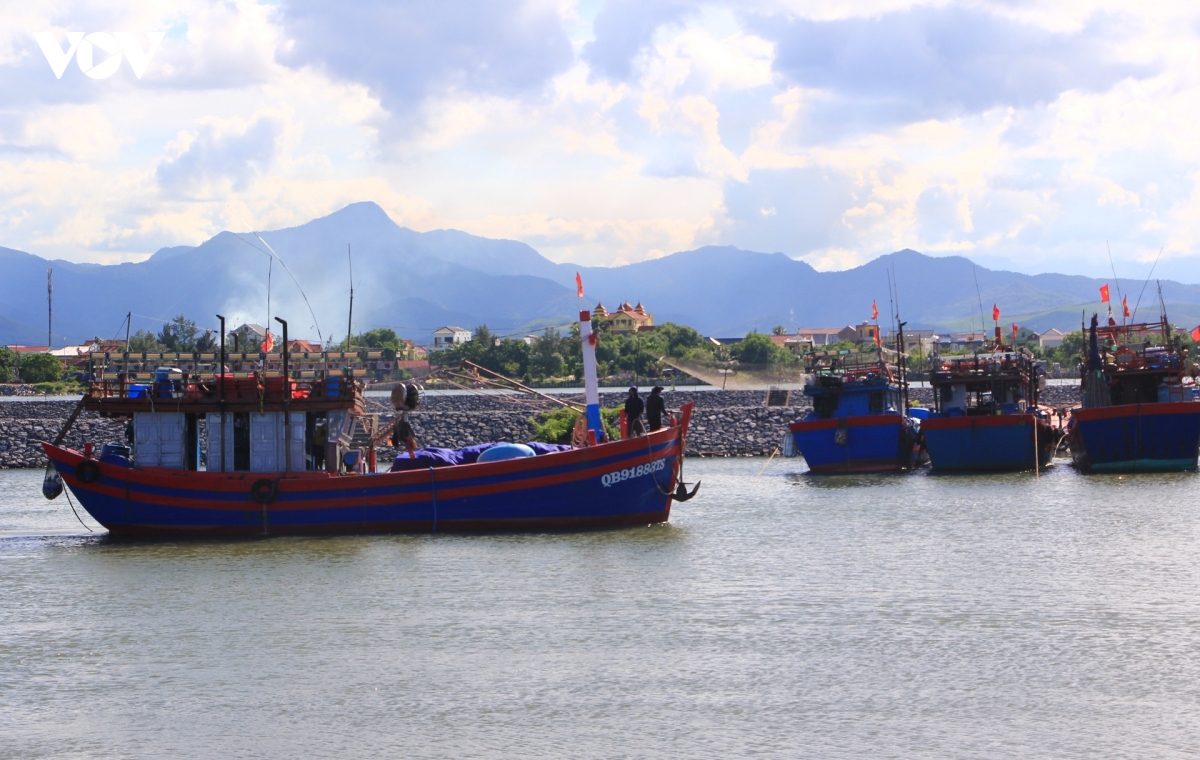 quang tri ung dung du lieu so de minh bach hanh trinh khai thac thuy san hinh anh 6