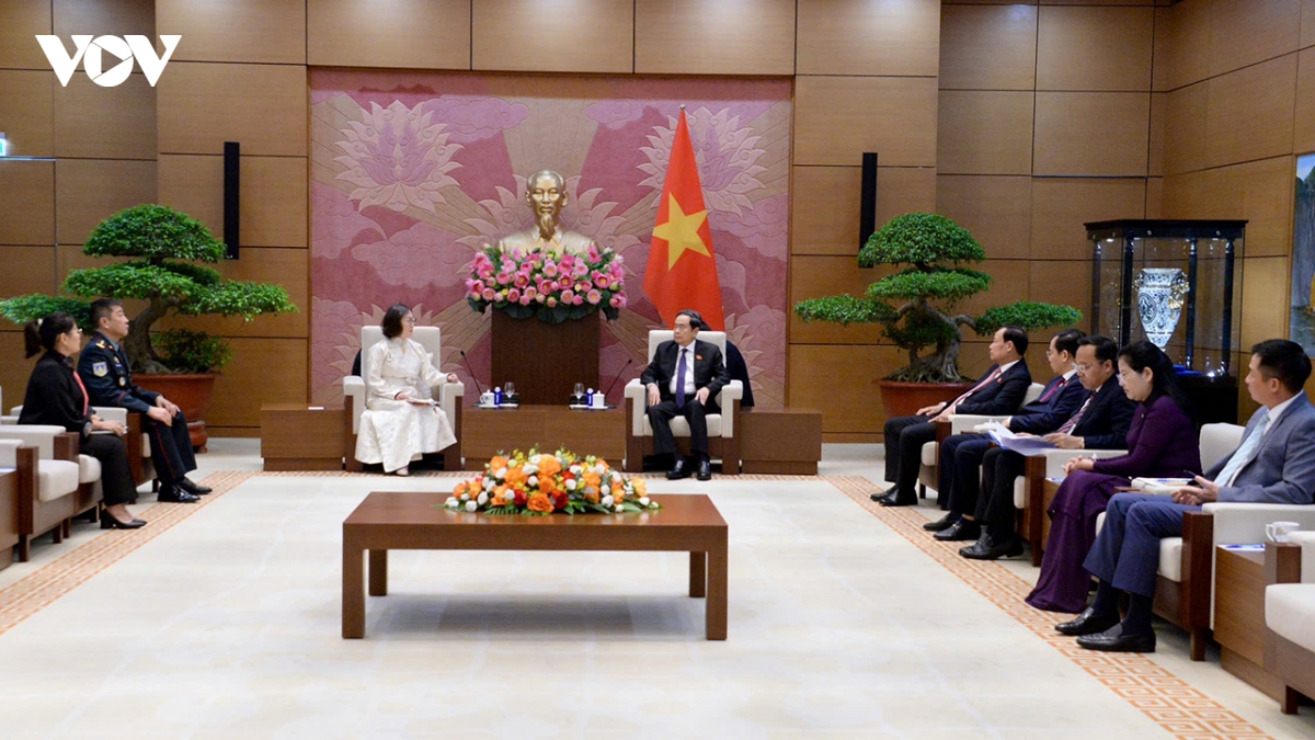 viet nam - mong co tich cuc trien khai cac thoa thuan hop tac giua hai nuoc hinh anh 3