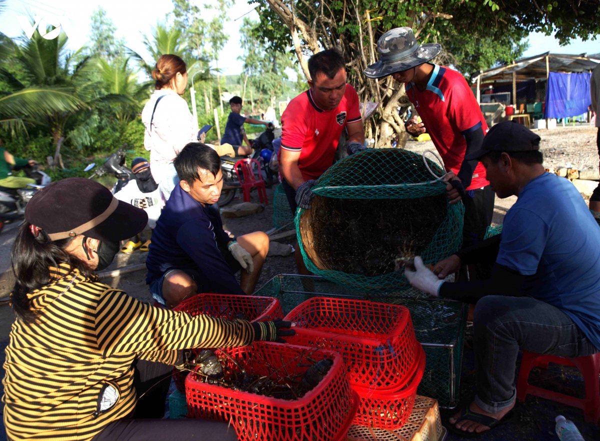 Dak lak xu ly 5 vu mua ban tom hum giong nhap lau, tieu huy hon 343.000 con hinh anh 1