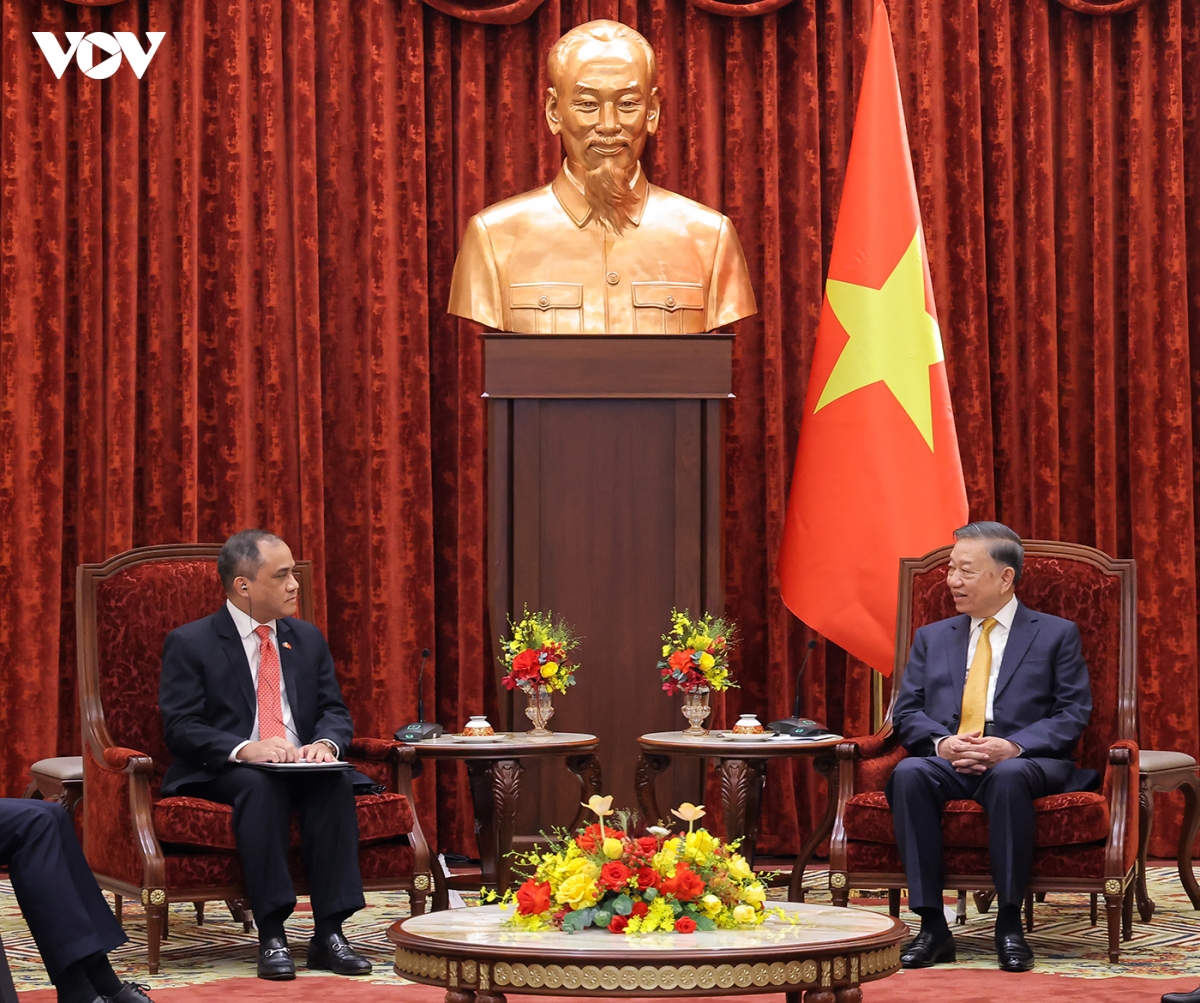tong bi thu, chu tich nuoc to lam tiep Dai su, Dai bien cac nuoc asean tai ha noi hinh anh 1