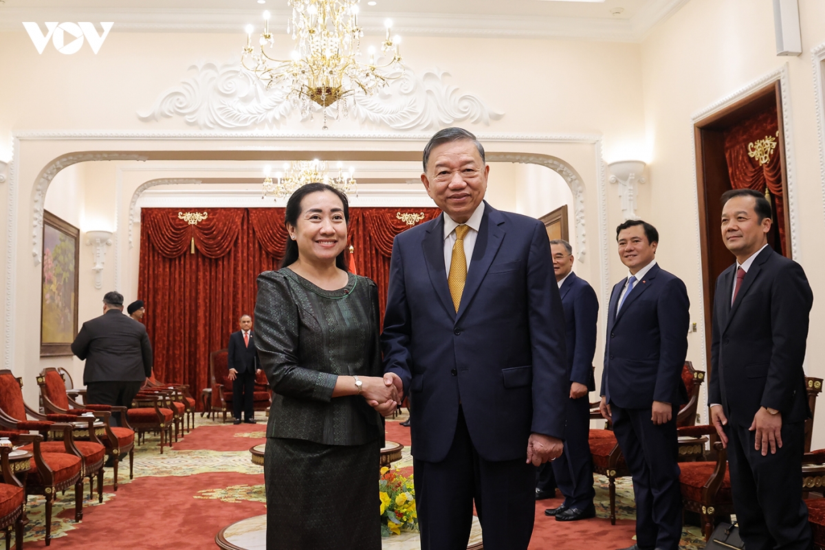 tong bi thu, chu tich nuoc to lam tiep Dai su, Dai bien cac nuoc asean tai ha noi hinh anh 3