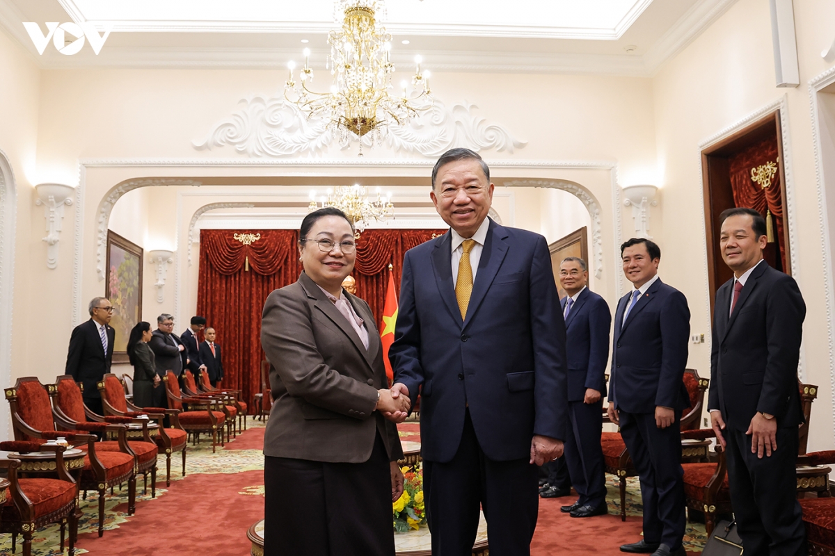tong bi thu, chu tich nuoc to lam tiep Dai su, Dai bien cac nuoc asean tai ha noi hinh anh 4