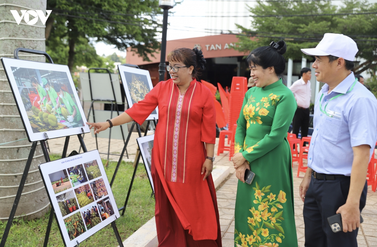 khai mac trien lam anh ve trong, cham soc va san xuat sau rieng o Dak lak hinh anh 1