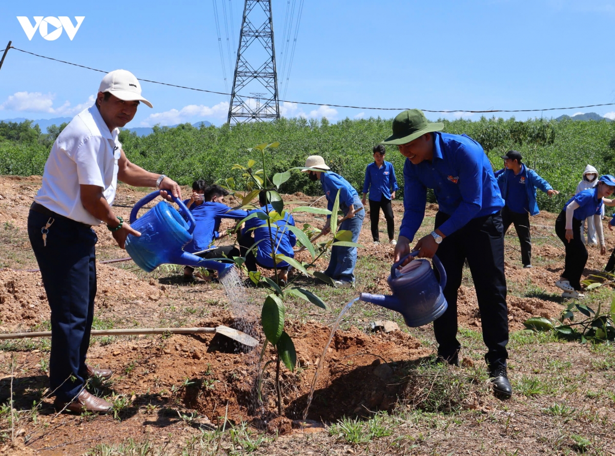 nhieu cong trinh, an sinh xa hoi trong chien dich thanh nien tinh nguyen he hinh anh 5