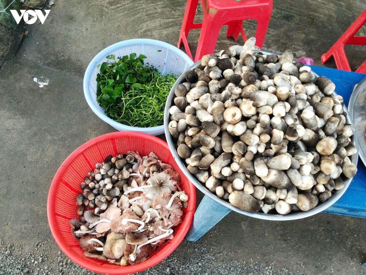 thu nhap hang chuc trieu dong moi vu nho mo hinh trong nam rom trong nha hinh anh 5