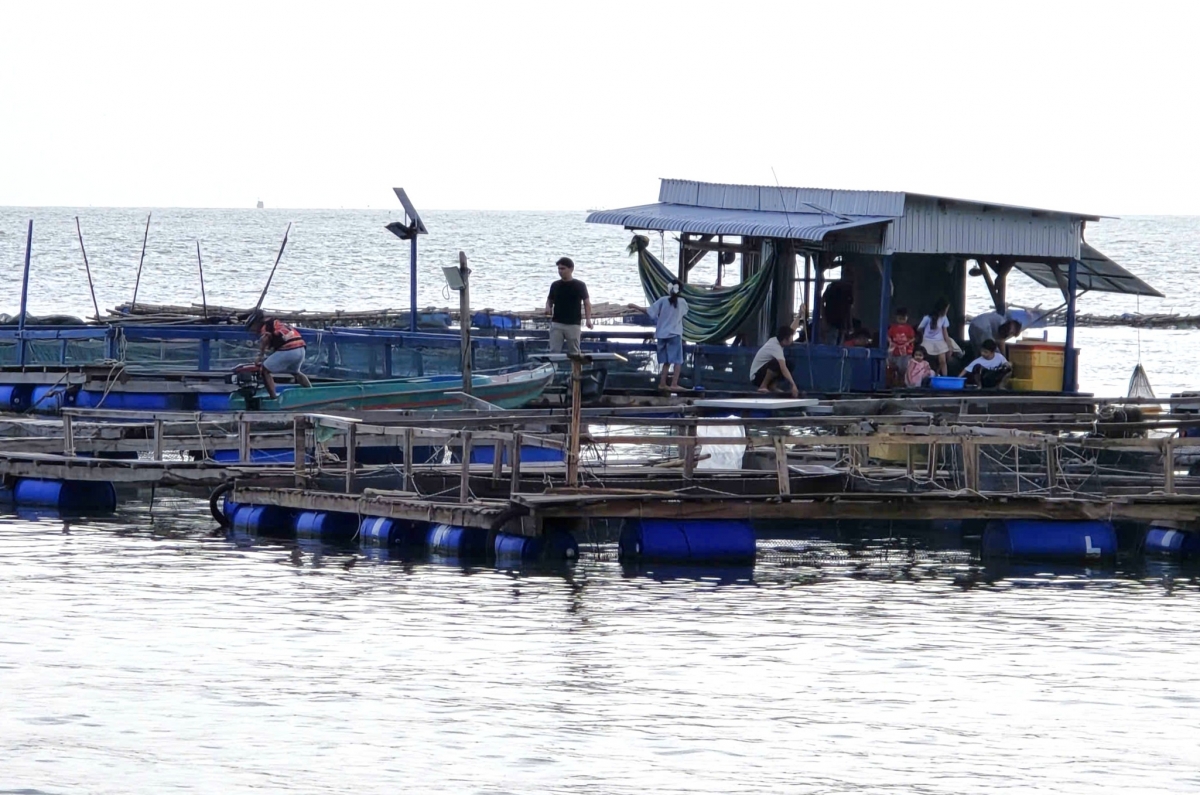 ca mau mo dot cao diem iuu lay ket qua danh gia hoan thanh nhiem vu nam hinh anh 2