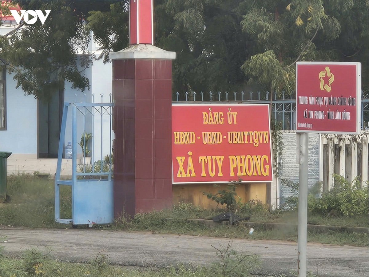 tao dieu kien cho cac ho dan lien quan vu vo ho tren nui tan lai o lam Dong hinh anh 1
