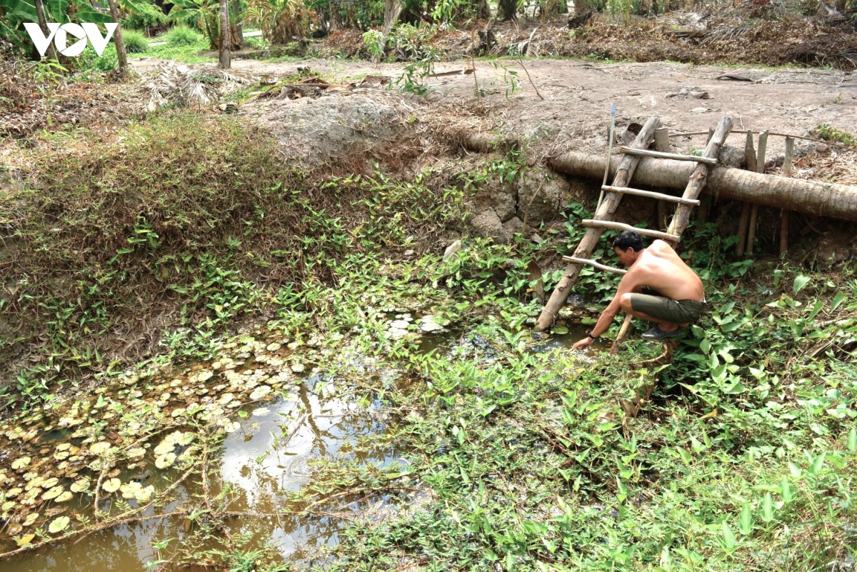 el nino den, khoang 13.700 ho dan o ca mau thieu nuoc hinh anh 1