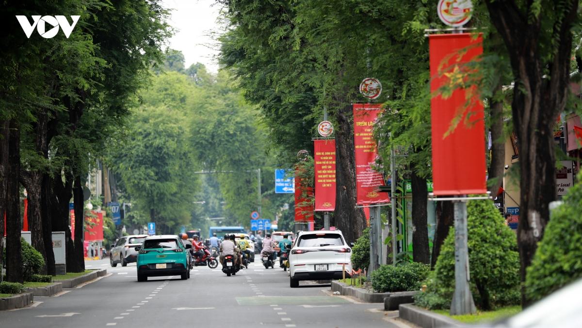 tp.hcm ruc ro co hoa chao mung quoc khanh 2 9 hinh anh 16
