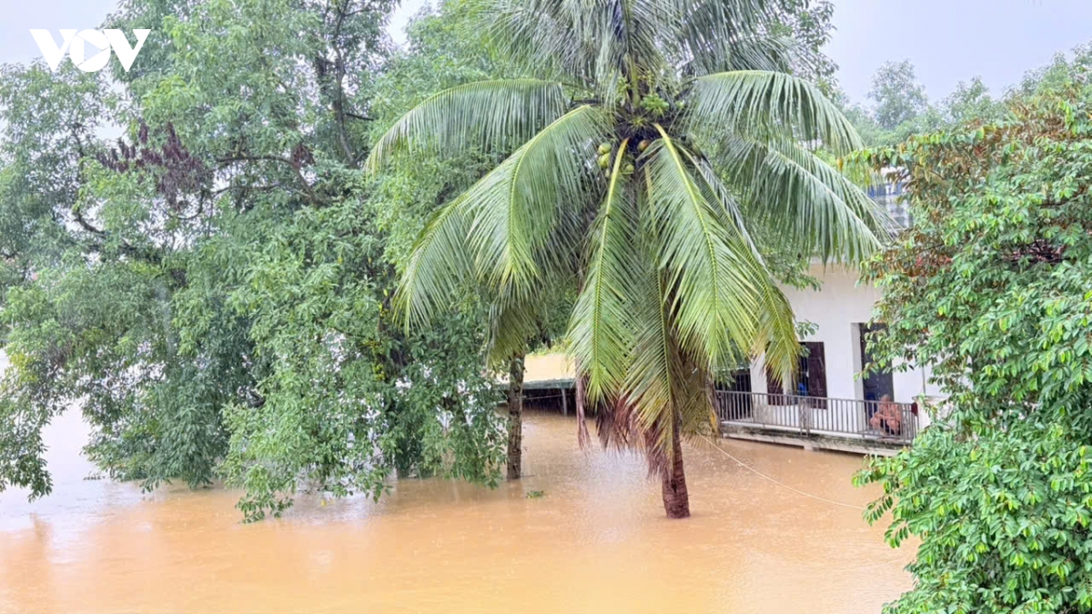 nuoc song bui dang cao, nguoi dan ngoai thanh ha noi chat vat chong ngap hinh anh 10