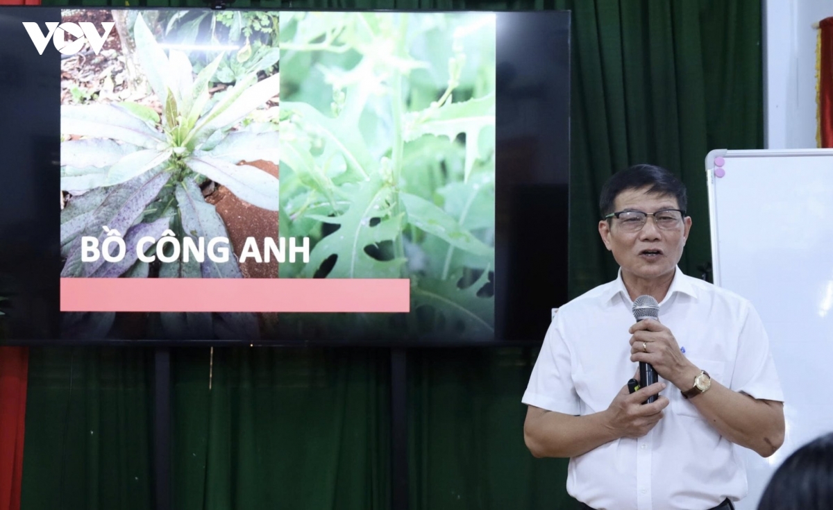 cay thuoc nam gan voi bao ton va su dung an toan duoc lieu hinh anh 1