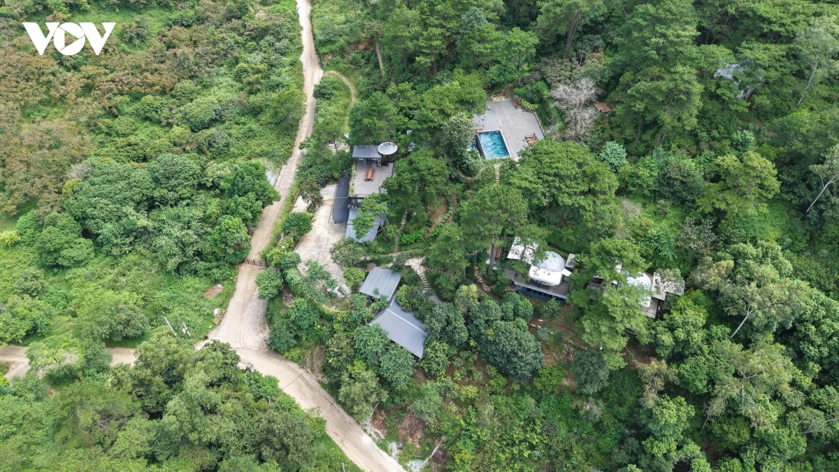 sau tam rem xanh rung phong ho kim anh, ha noi la nhung villa, homestay an minh hinh anh 3