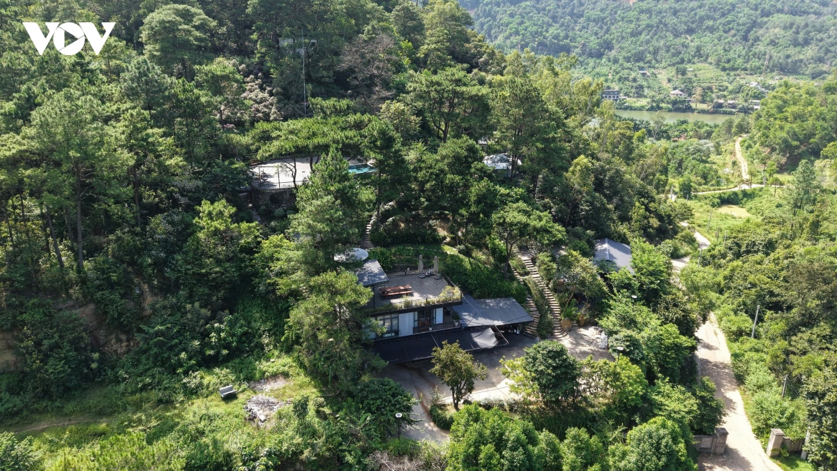 sau tam rem xanh rung phong ho kim anh, ha noi la nhung villa, homestay an minh hinh anh 4