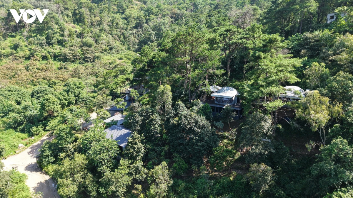 sau tam rem xanh rung phong ho kim anh, ha noi la nhung villa, homestay an minh hinh anh 5