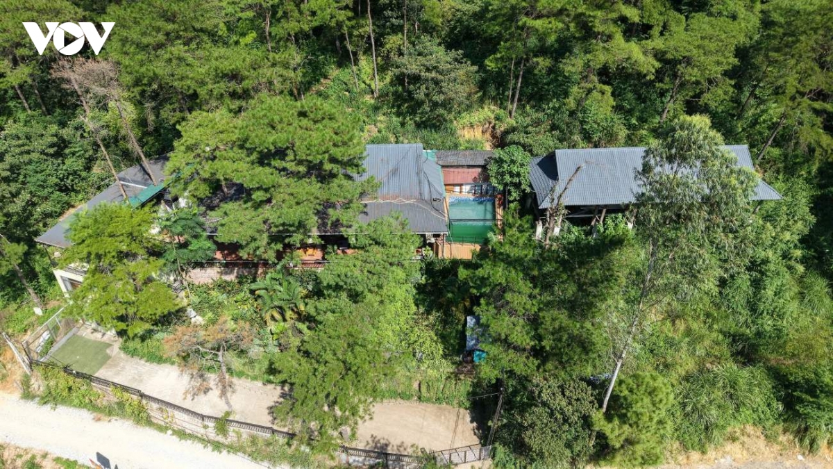 sau tam rem xanh rung phong ho kim anh, ha noi la nhung villa, homestay an minh hinh anh 13