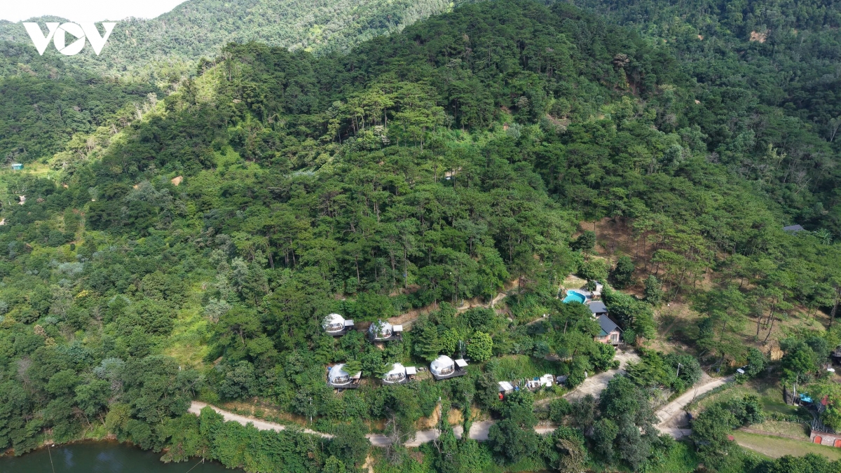 sau tam rem xanh rung phong ho kim anh, ha noi la nhung villa, homestay an minh hinh anh 8