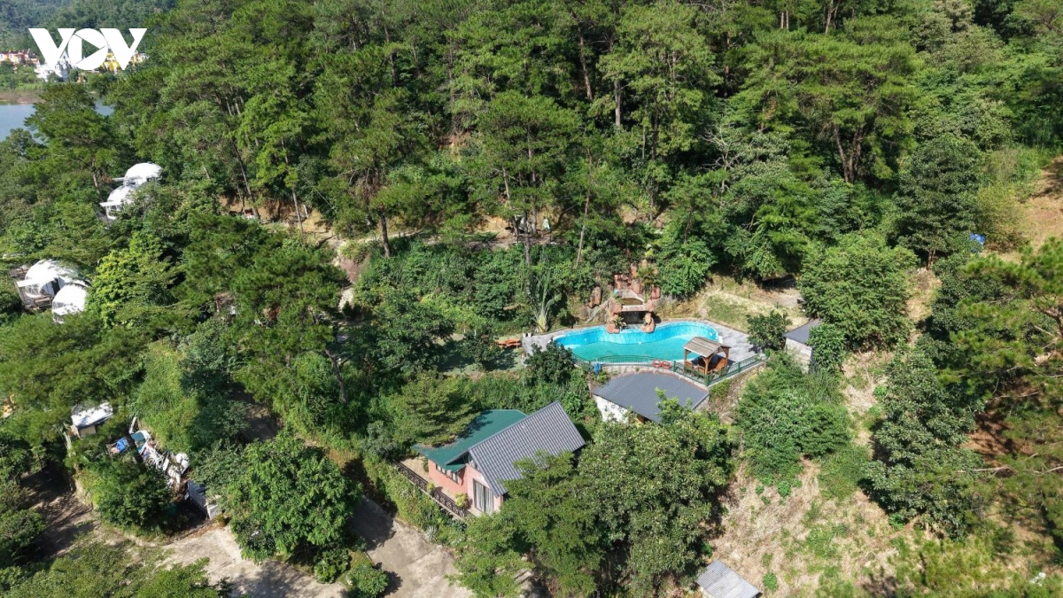 sau tam rem xanh rung phong ho kim anh, ha noi la nhung villa, homestay an minh hinh anh 9
