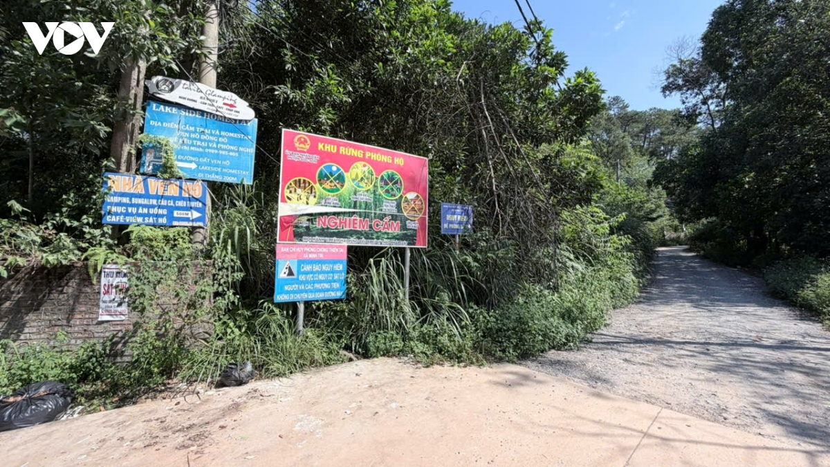 sau tam rem xanh rung phong ho kim anh, ha noi la nhung villa, homestay an minh hinh anh 7