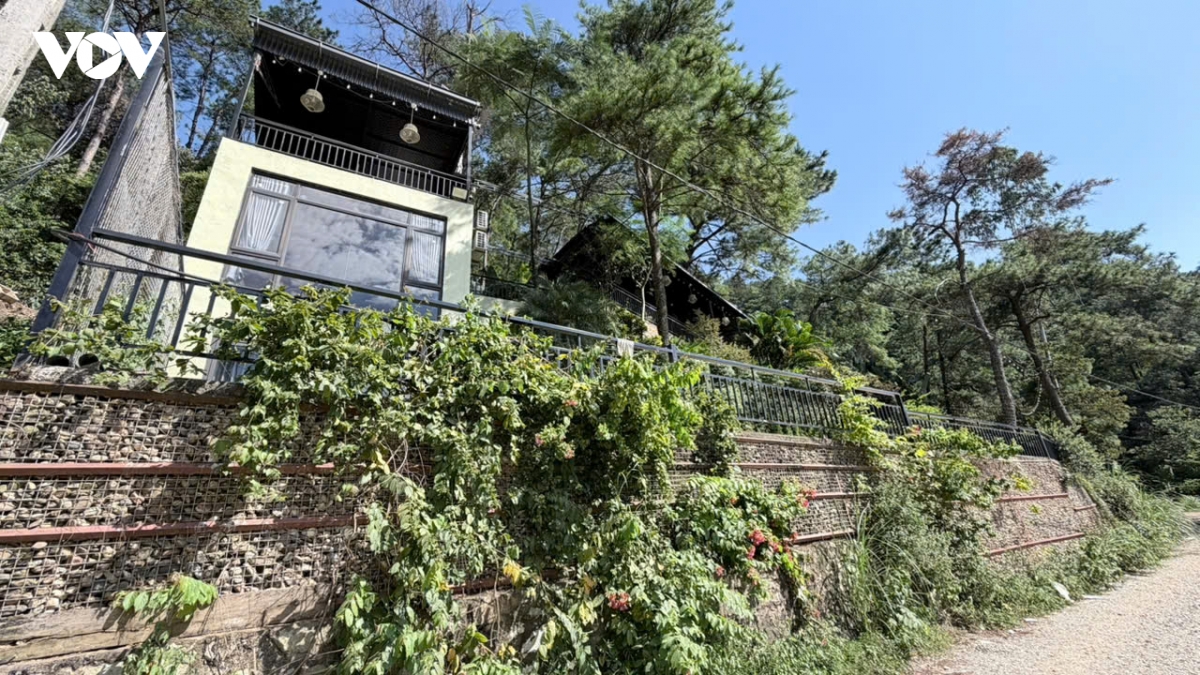 sau tam rem xanh rung phong ho kim anh, ha noi la nhung villa, homestay an minh hinh anh 12
