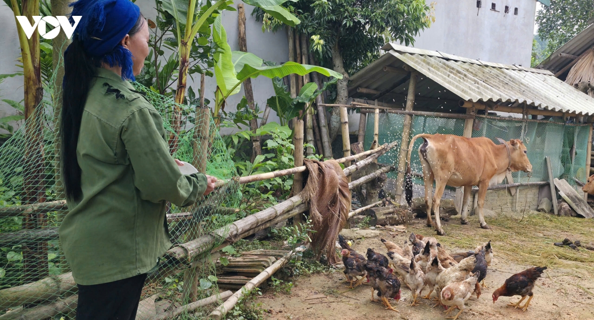 thanh hoa trao can cau , tao sinh ke ben vung cho dong bao vung dan toc thieu so hinh anh 1