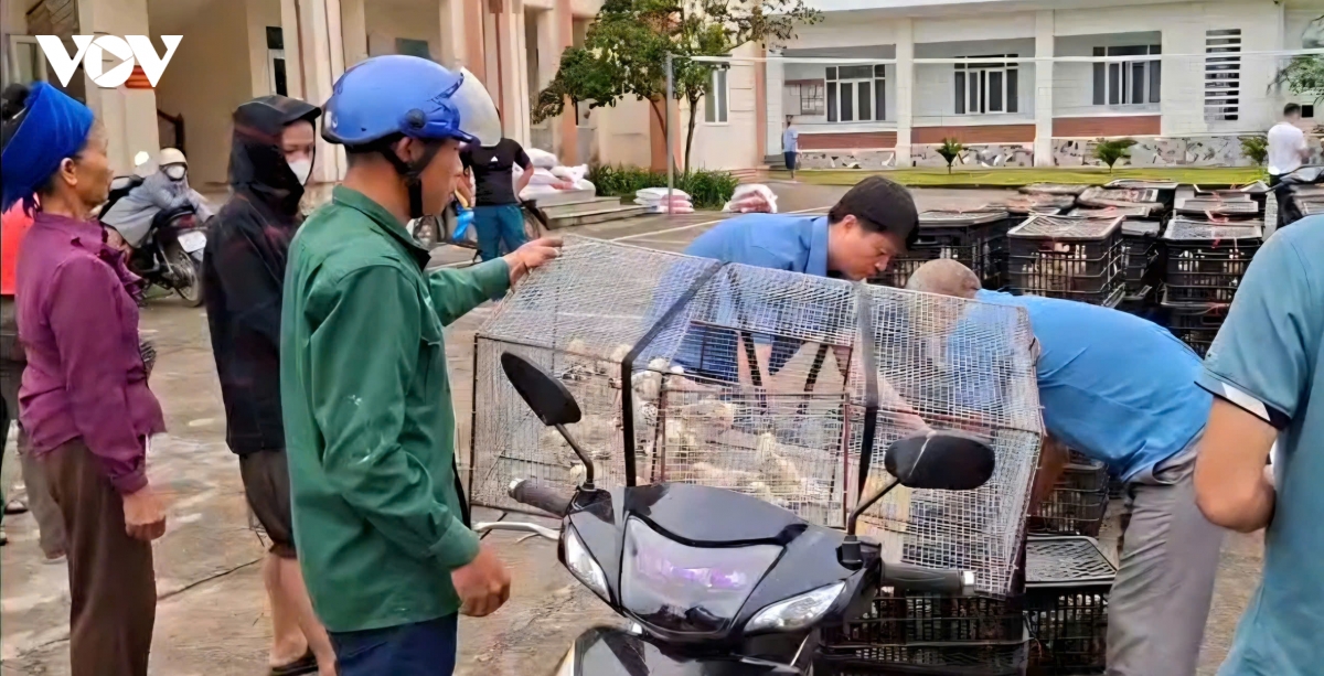 thanh hoa trao can cau , tao sinh ke ben vung cho dong bao vung dan toc thieu so hinh anh 2