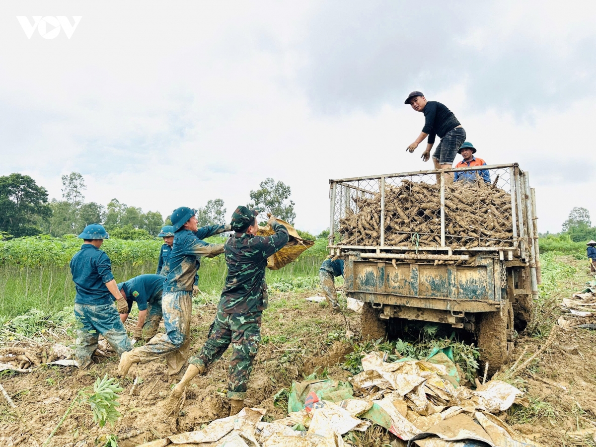 cac luc luong giup dan gat lua, nho mi chay lu hinh anh 4