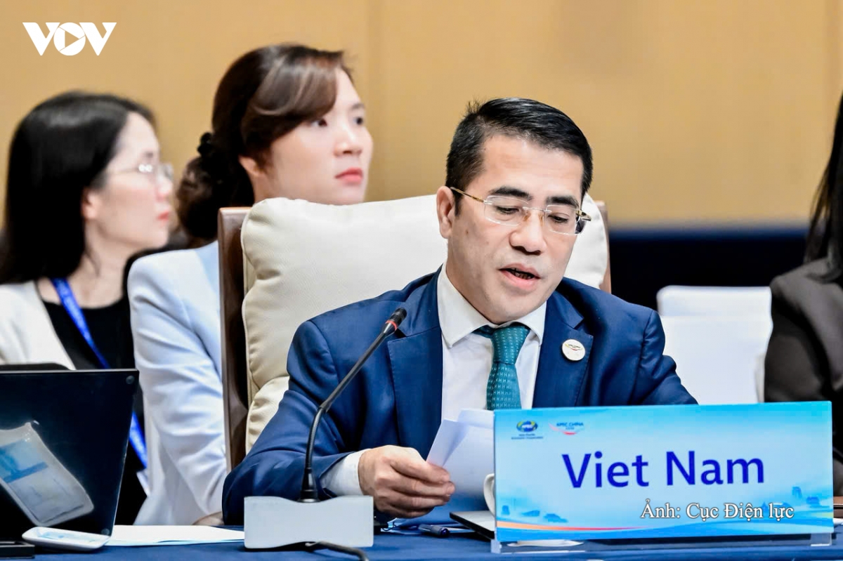 hoi nghi bo truong nang luong apec lan thu 16 viet nam de xuat tang cuong hop tac hinh anh 1