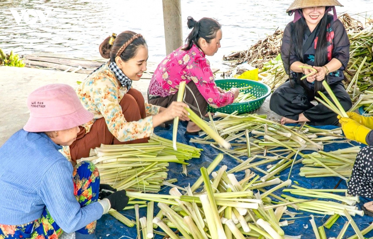 ca mau nguoi phu nu tre gop phan dua nong san u minh ha di moi mien hinh anh 2