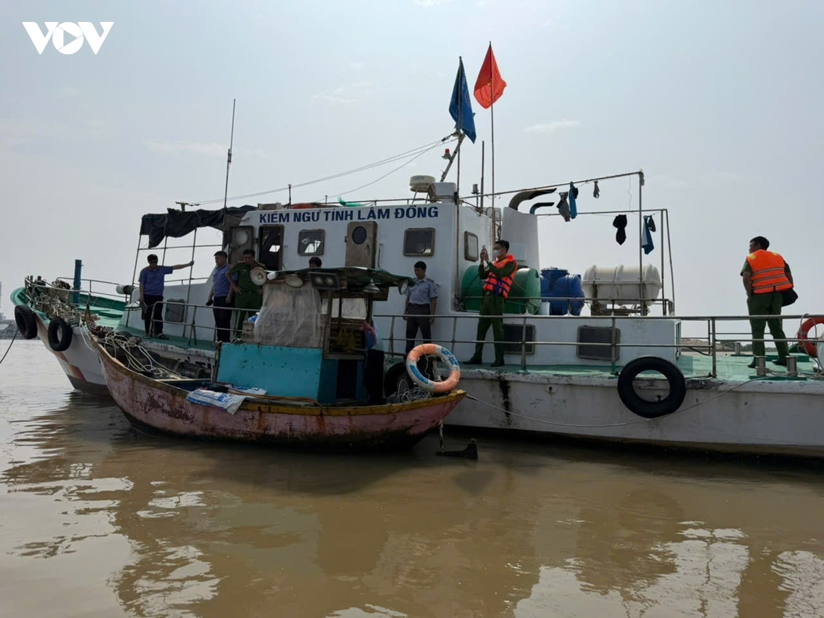 tau ca khong giay to, chu tau va con trai chong doi khi bi kiem tra hinh anh 1