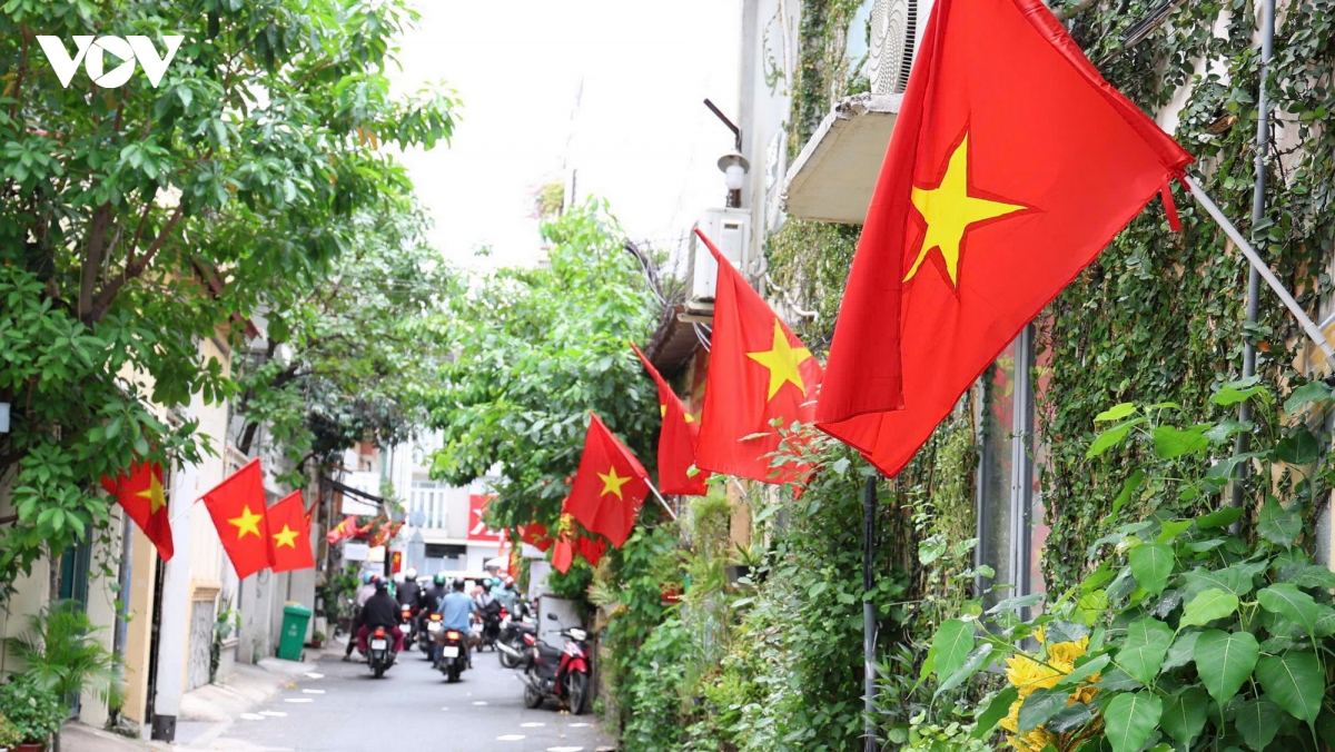tp.hcm ruc ro co hoa chao mung quoc khanh 2 9 hinh anh 10