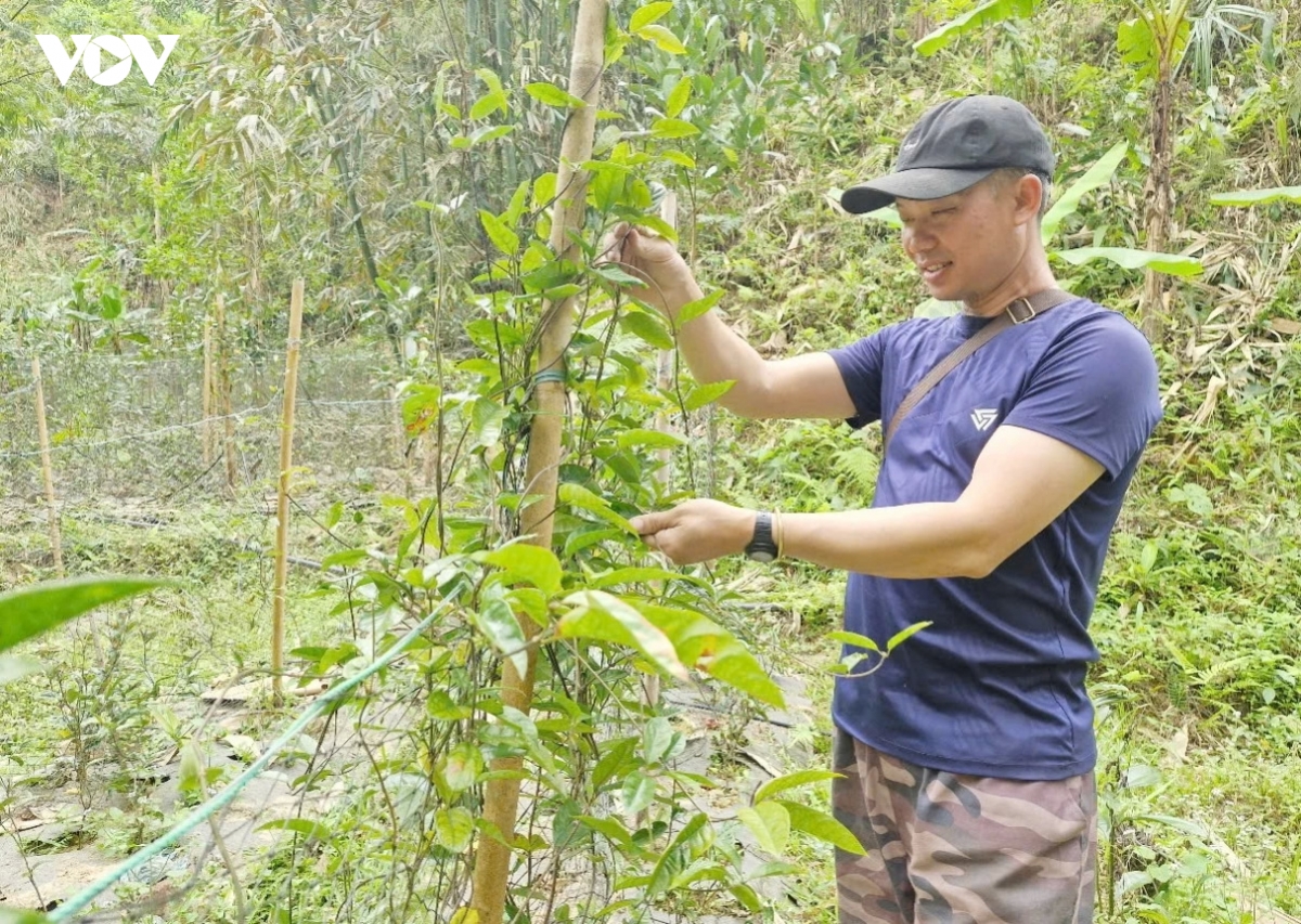 Dong bao mien nui Da nang thay doi nep nghi, cach lam giau hinh anh 3
