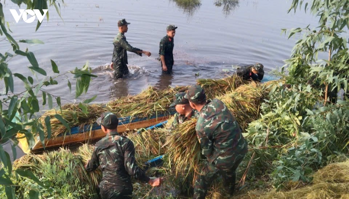 120 can bo, chien si xuong dong cuu 13 ha lua ngap o tay ninh hinh anh 2