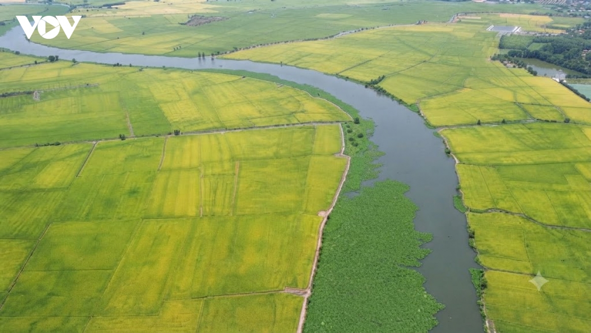 khep kin de bao chong ngap vung trung, giu nhip san xuat nong nghiep o tay ninh hinh anh 3