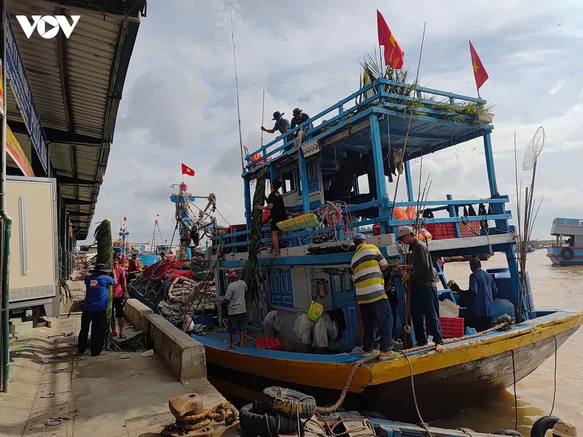 go the vang iuu, lam Dong tang cuong giam sat hanh trinh tau ca so hoa hinh anh 4