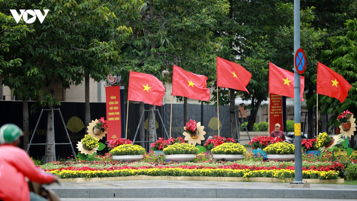 tp.hcm ruc ro co hoa chao mung quoc khanh 2 9 hinh anh 19