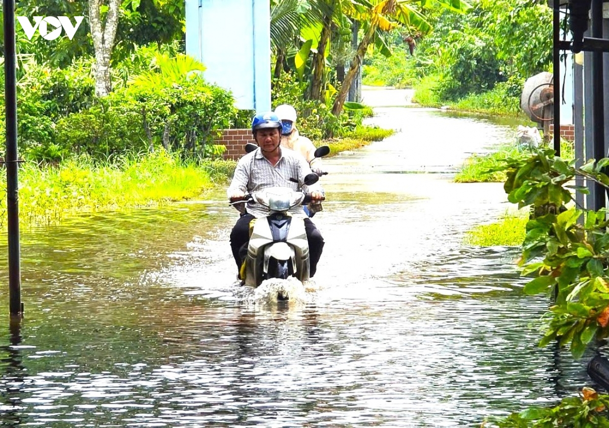 Cà Mau: Ngập lụt gây nhiều thiệt hại ở vùng nông thôn