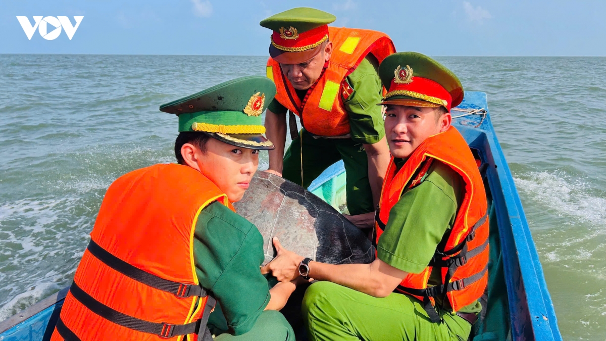 tha ca the vich quy hiem nang 70kg ve bien hinh anh 1