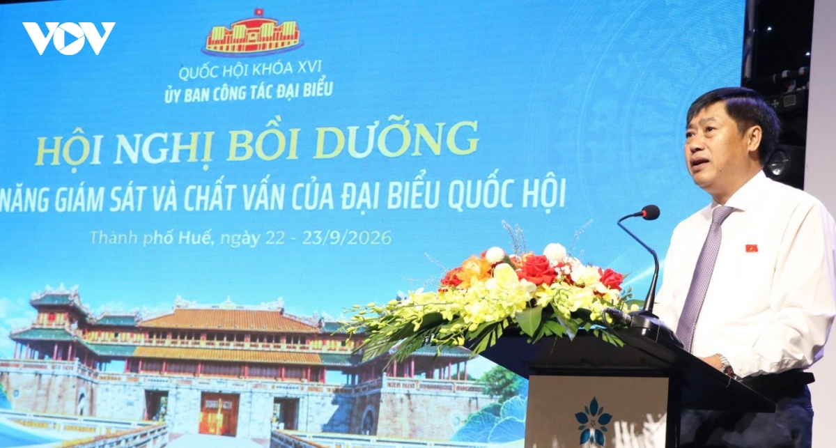 boi duong ky nang giam sat va chat van gan 300 dai bieu quoc hoi hinh anh 2