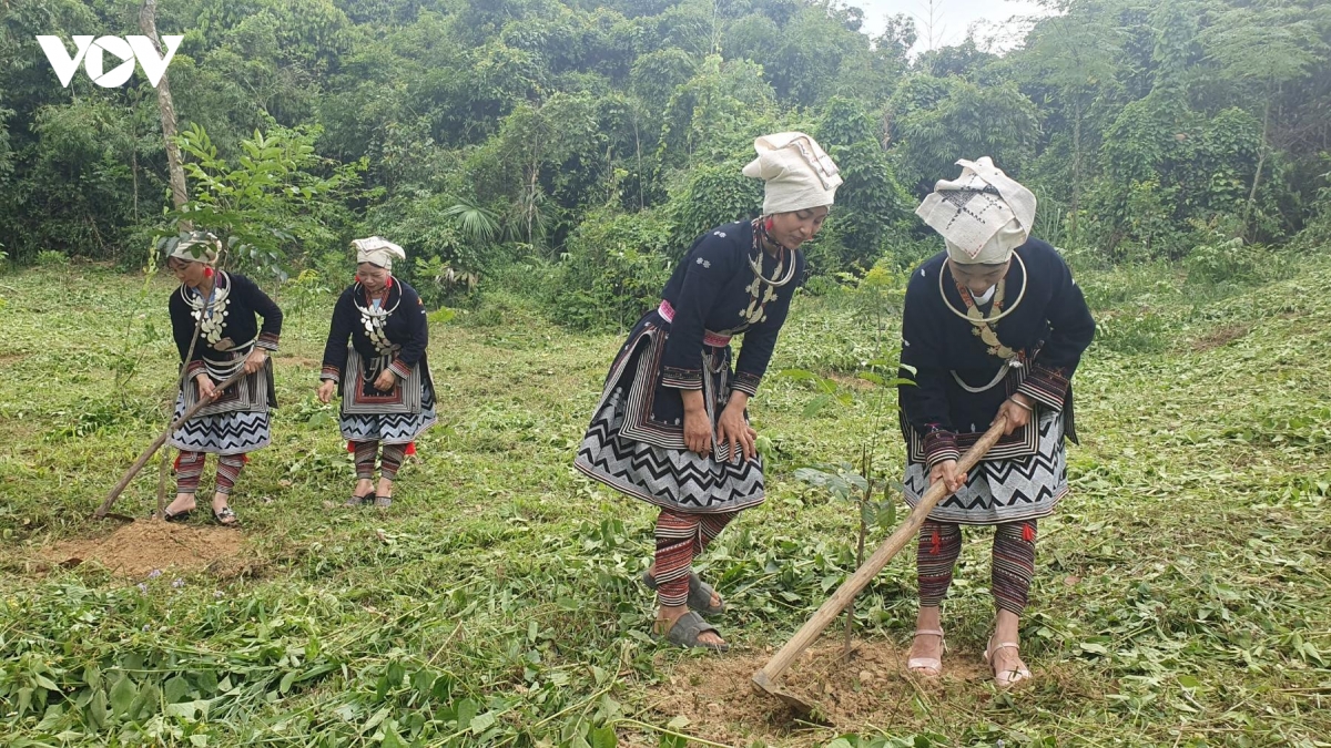 thai nguyen phat huy truyen thong, khoi day dong luc phat trien hinh anh 2