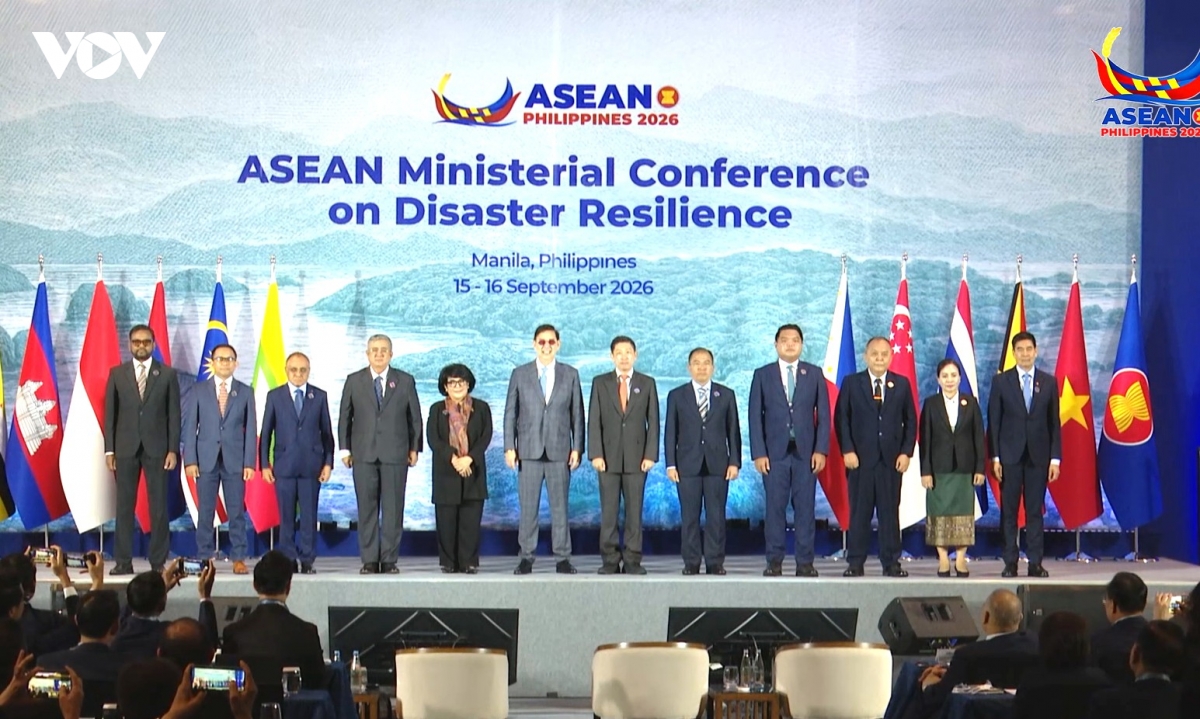 asean chuyen tu cam ket sang hanh dong ung pho thien tai hinh anh 1